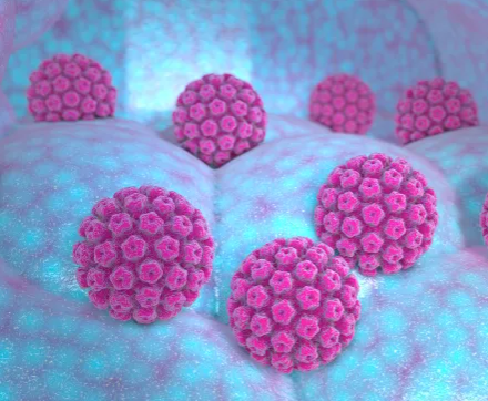 hpv